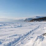 冬の樺太の雪原に続く犬ぞりの跡